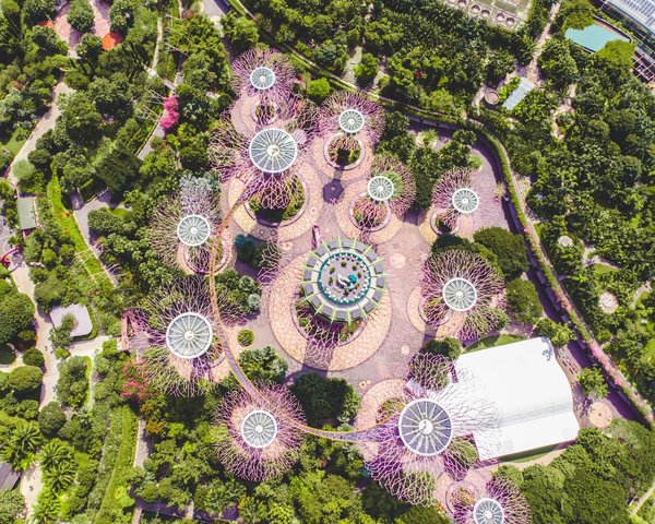 Singapour : Top 12 des expériences uniques pour un voyage mémorable